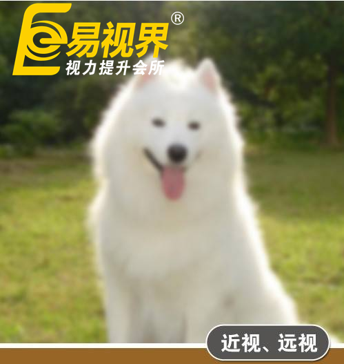 不一樣的眼病，不一樣的世界