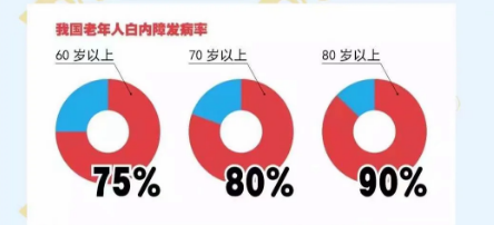 全球致盲的主要原因有哪些？